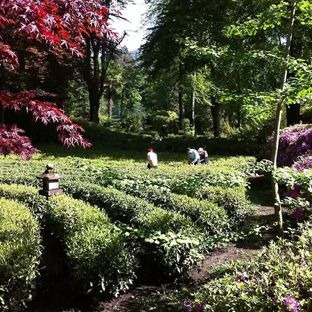 Monte Verita Hotel Ascona