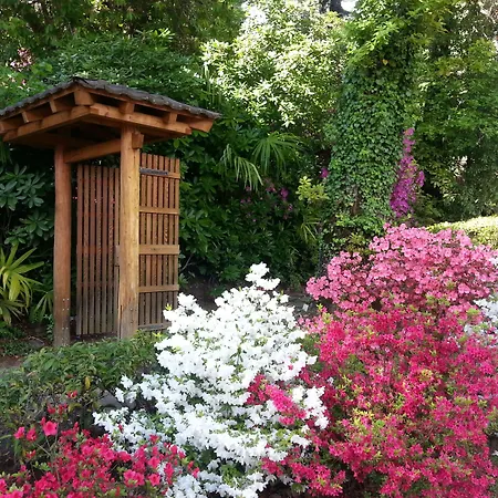 Hotel Monte Verita Ascona