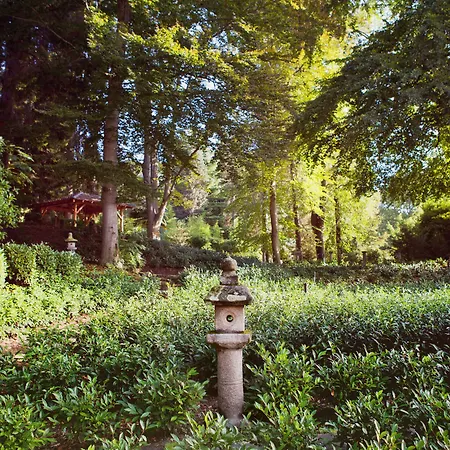 Hotel Monte Verita 3*