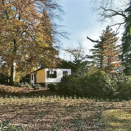 Hotel Monte Verità 3*