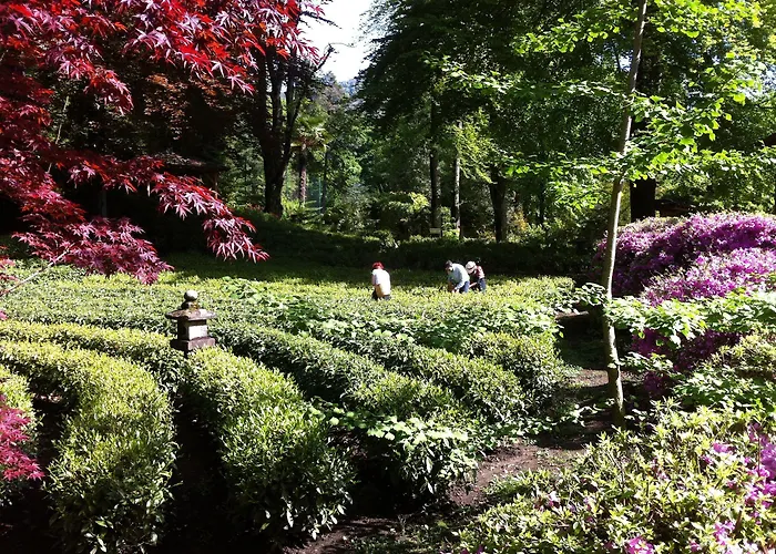 Monte Verita Готель Аскона