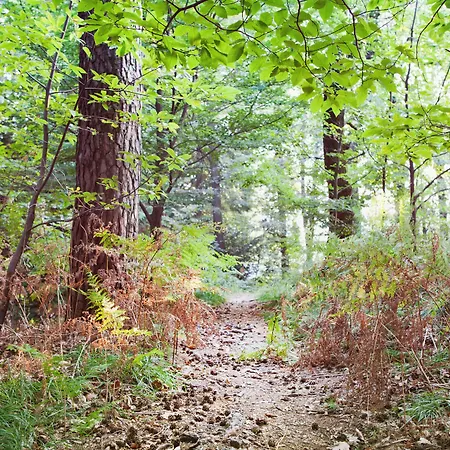 Monte Verita ホテル