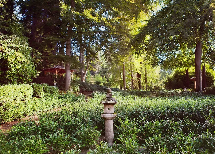 Szálloda Monte Verita 3*