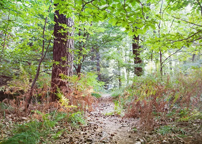 Monte Verita Szálloda